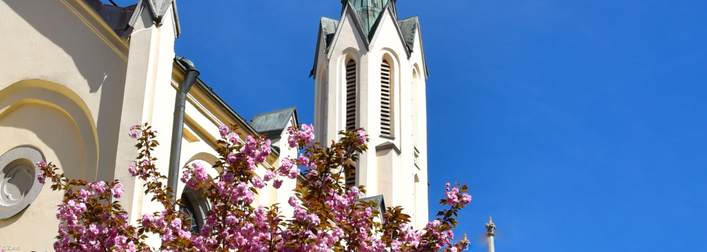 Stadtpfarrkirche St. Matthäus Passau