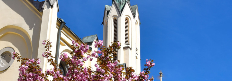Stadtpfarrkirche St. Matthäus Passau